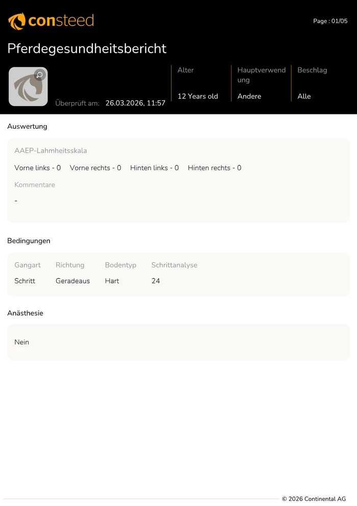 Deckblatt eines Ganganalyse-Berichts, Namen geschwärzt