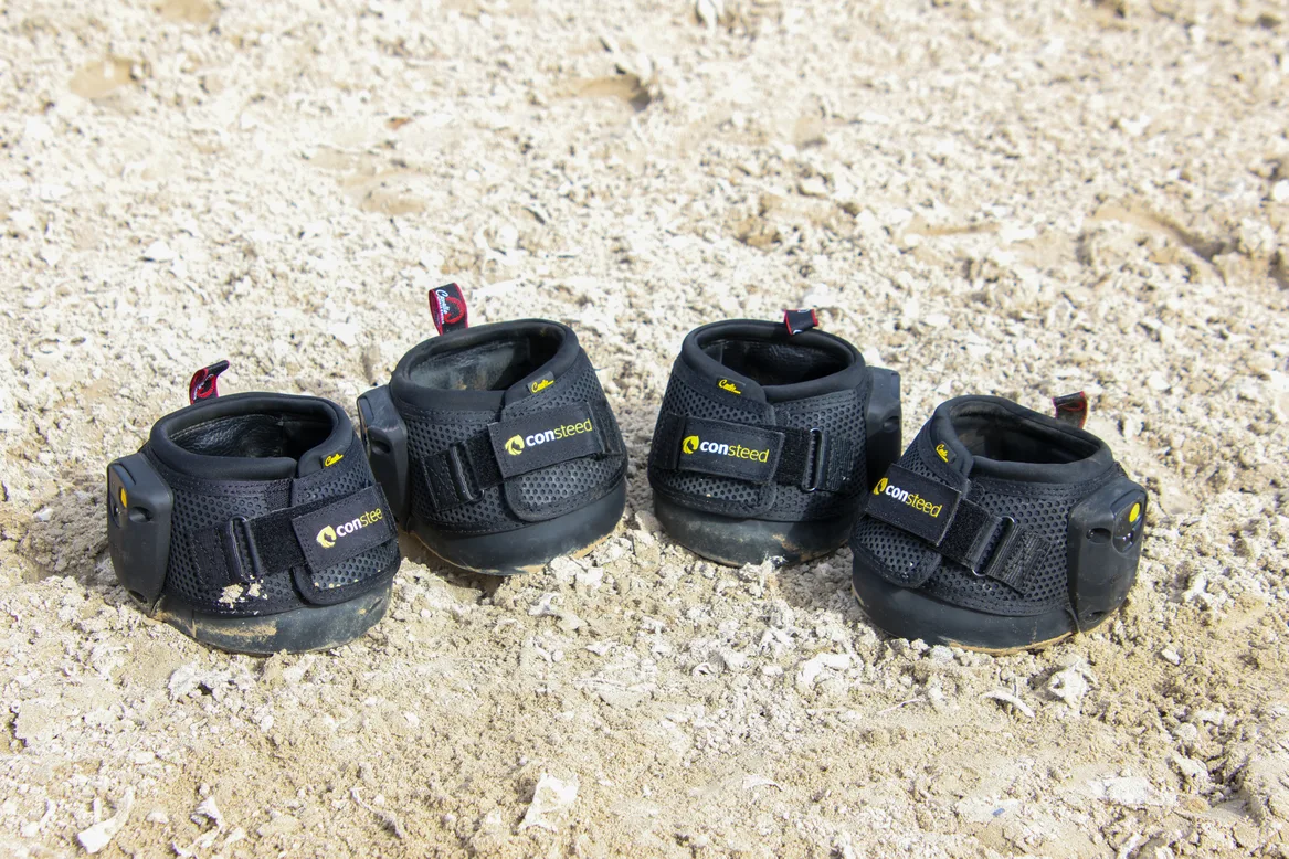 Vier Hufschuhe mit Sensoren für die Ganganalyse auf dem Reitplatz