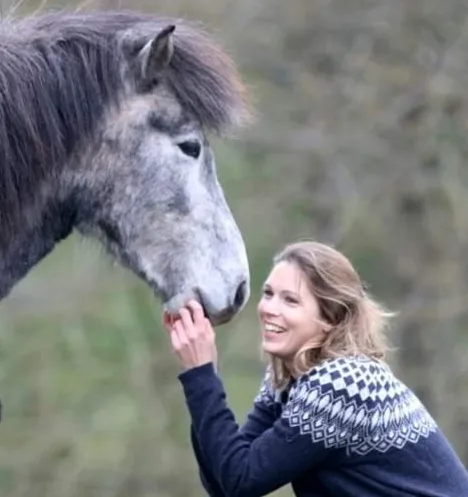 Nadine krault lachend ein graues Islandpferd
