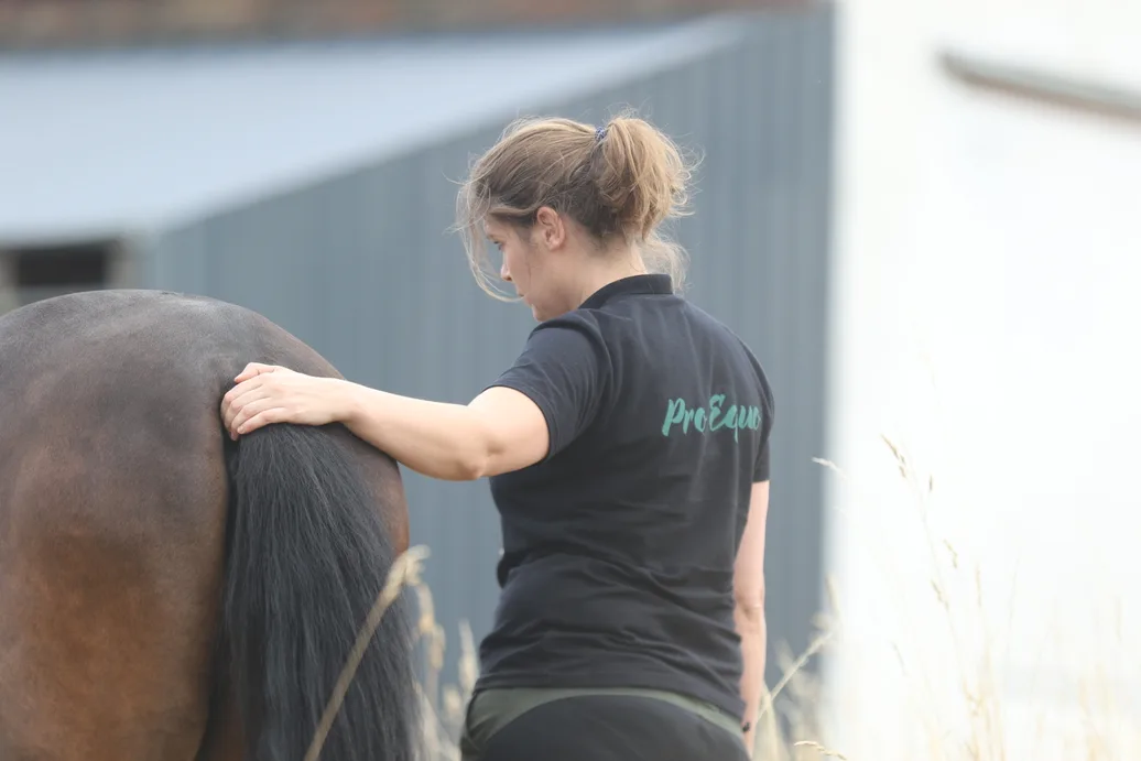 Nadine steht im Stall neben einem Pferd und legt die Hand auf seinen Rücken